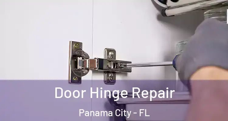Door Hinge Repair Panama City - FL