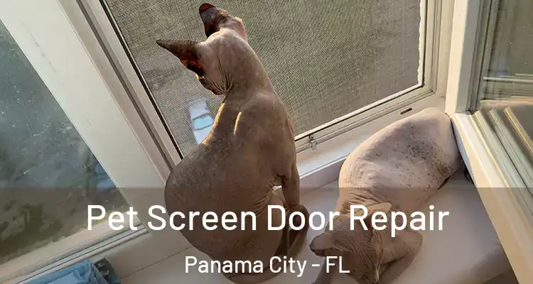Pet Screen Door Repair Panama City - FL