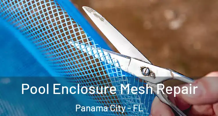 Pool Enclosure Mesh Repair Panama City - FL